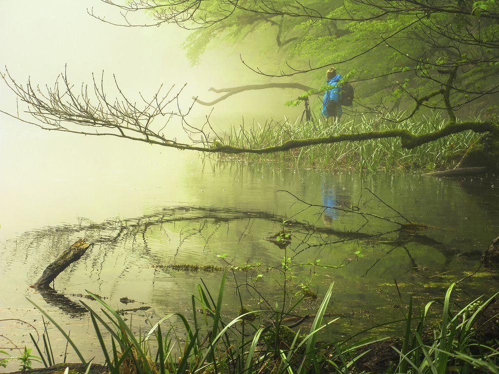 The world is upside down