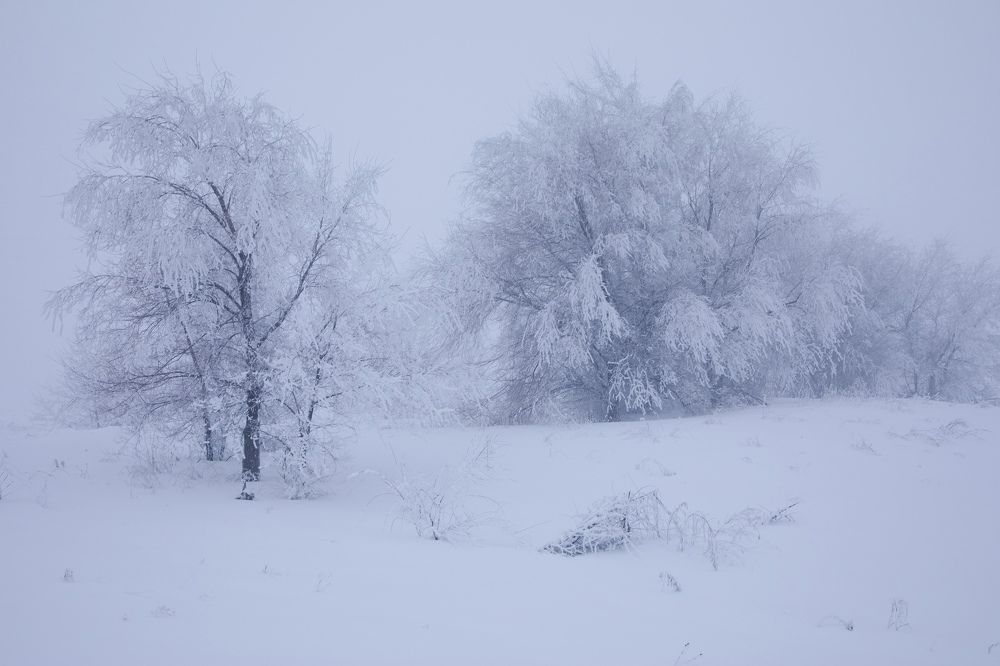 Photograph by Дарья Юсарева