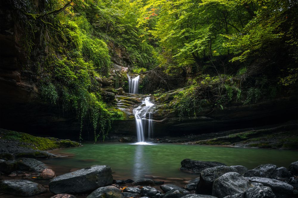 Photograph by Hamed Qane