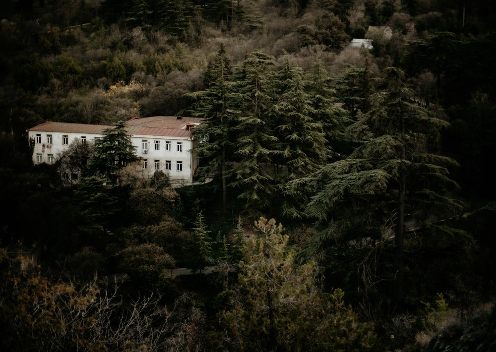 Photograph by Lisa Shredder
