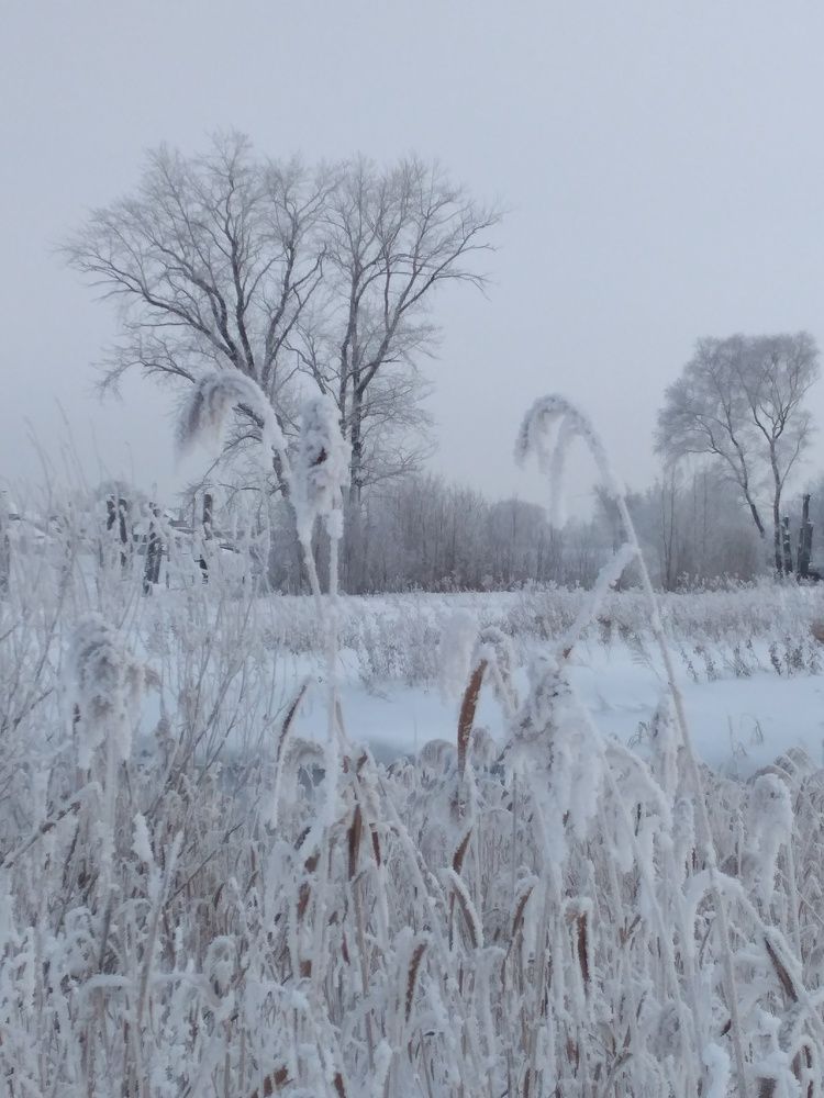Photo #7009293