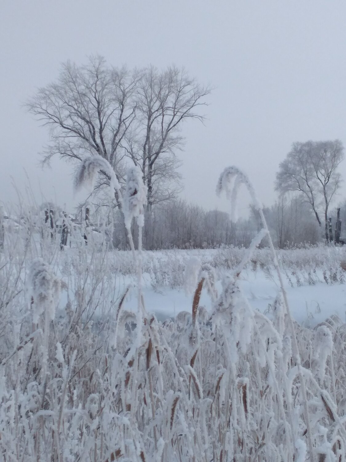 Photo #7009293