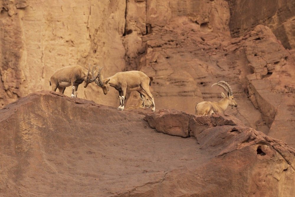 Photograph by klara Neikov