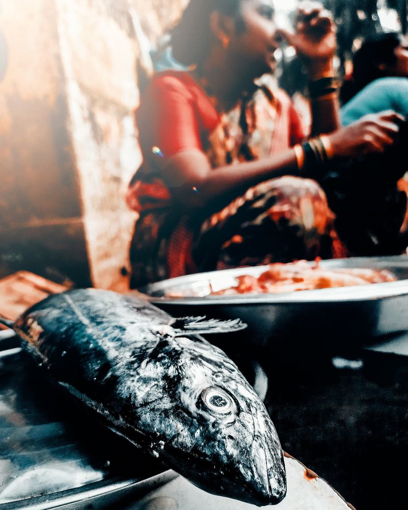 Photograph by Shubham Pagar