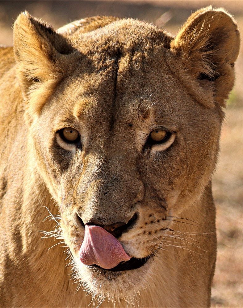 Photograph by PRATYUSH HALDER