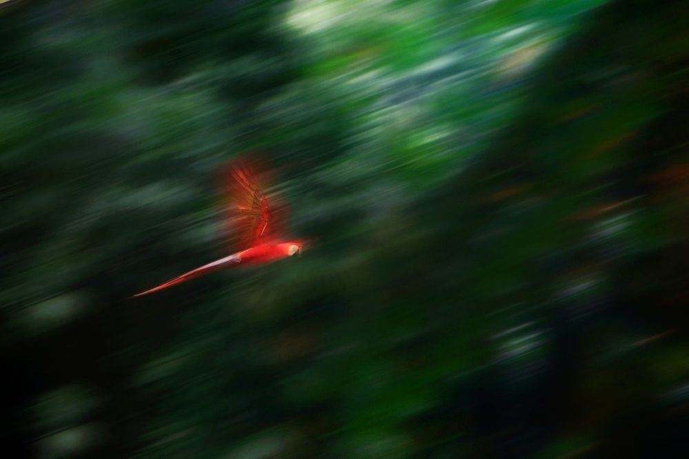 Raging Fire in the greens