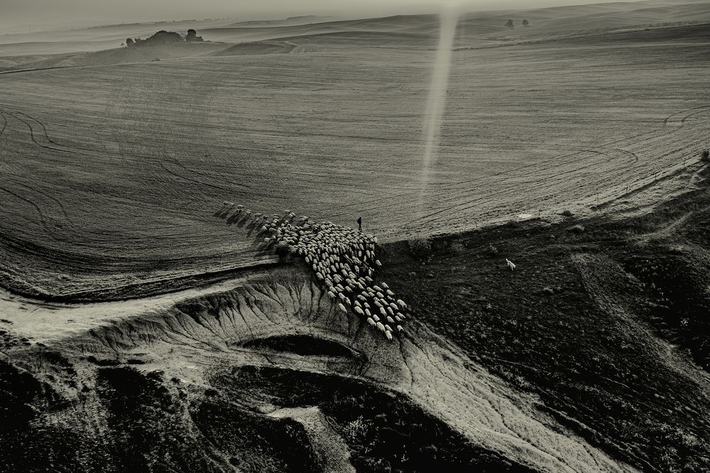 Photograph by Dov Marmel