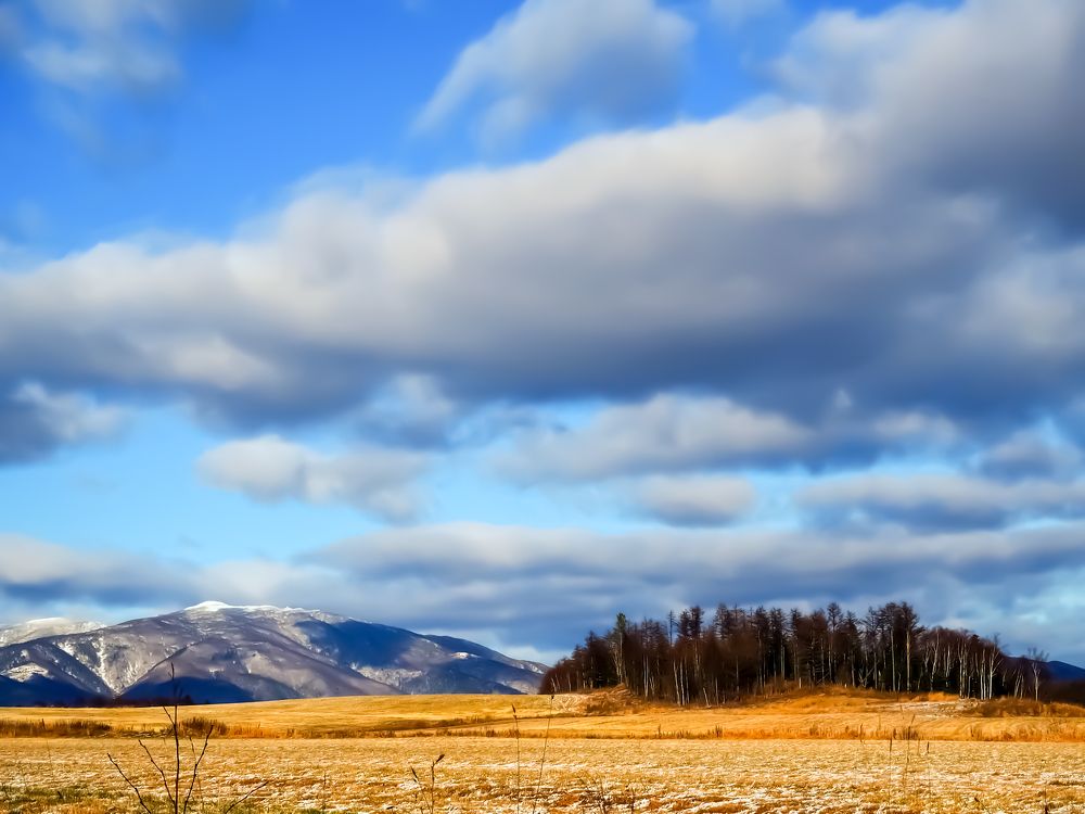Фотография автора Olena Vorotyntseva