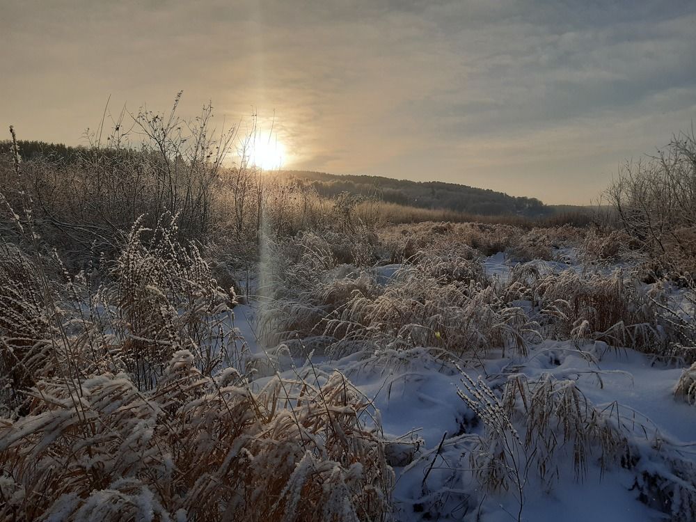 Photograph by Наталья Ченчикова