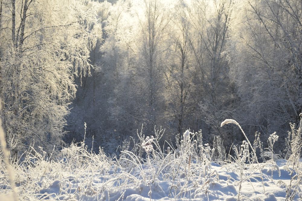 Photograph by Наталья Ченчикова