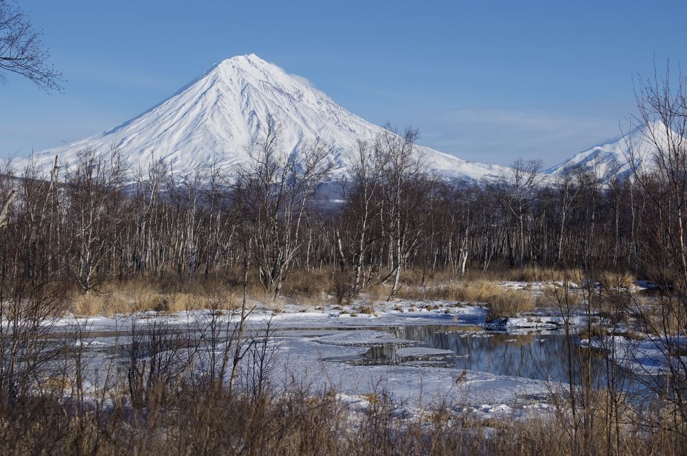 Фотография автора Ирина Копылова