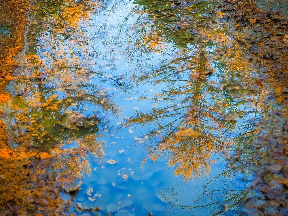 Фотография автора Olena Vorotyntseva