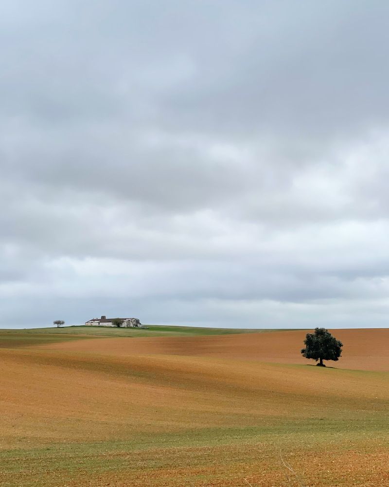 Photograph by Joao Figueiredo