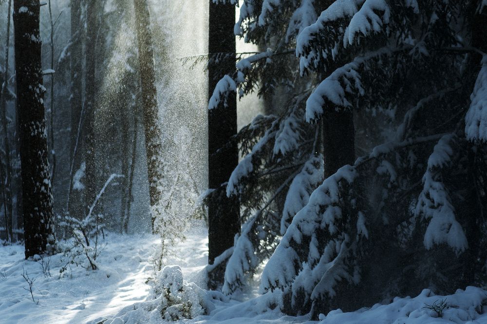 Photograph by Rolandas Valančauskas