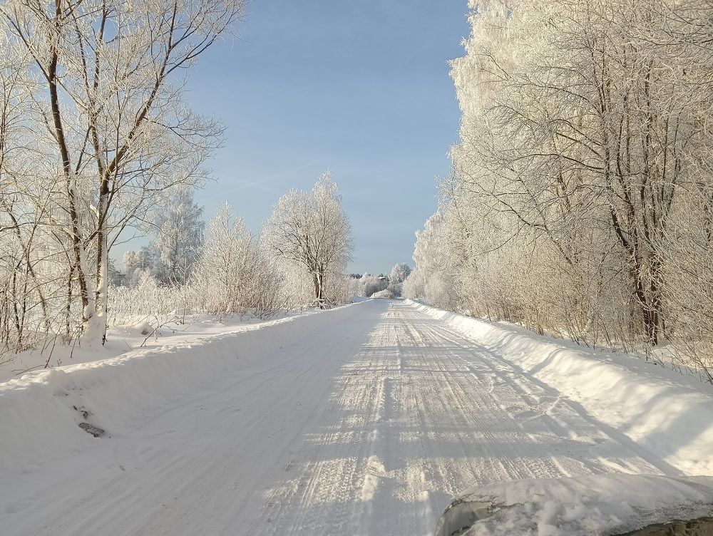 Photograph by Алексей Соколов