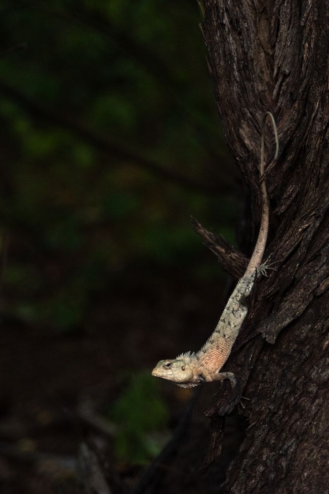 Photograph by Анастасия Суравикина