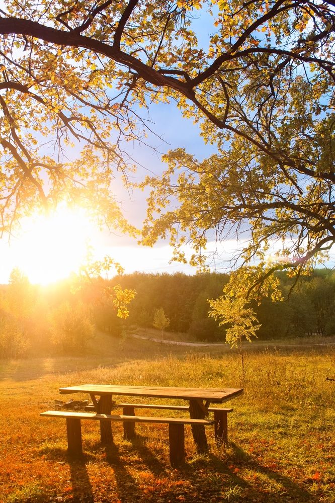 Photograph by Анастасия Маракина