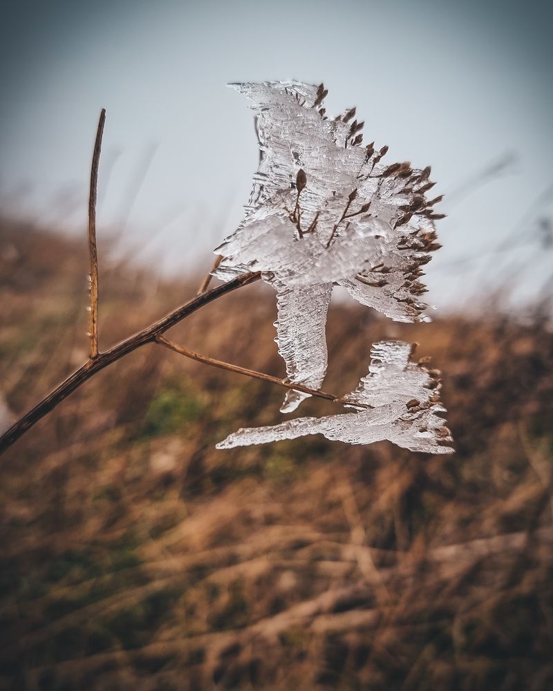 Photograph by Людмила Олеговна