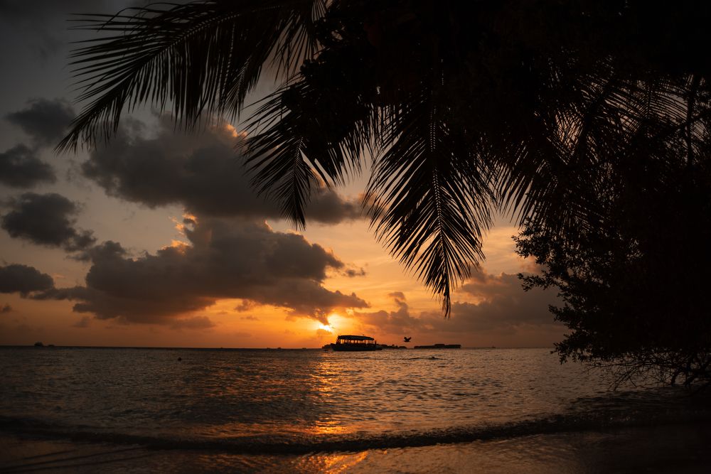 Photograph by Анастасия Суравикина