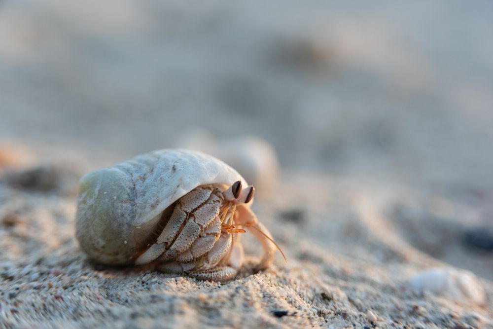 Photograph by Анастасия Суравикина