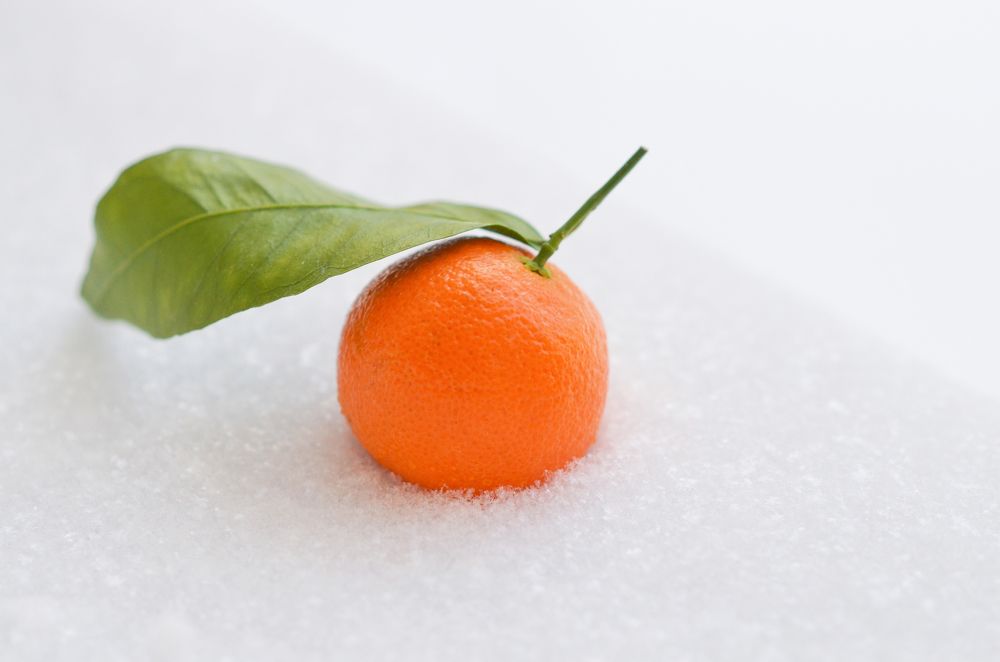 Photograph by Виктория Потапова