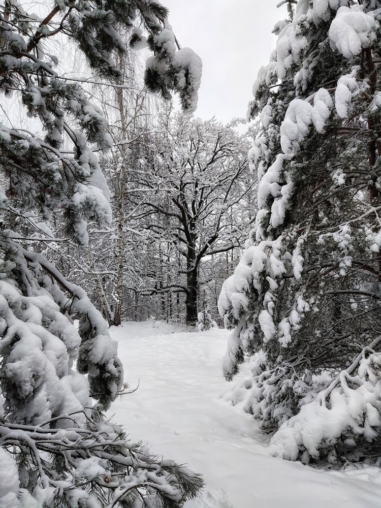Photo #7009710