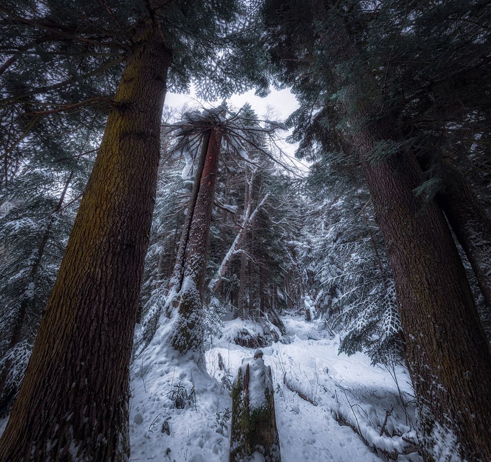 Photograph by Наргиза Кахарова