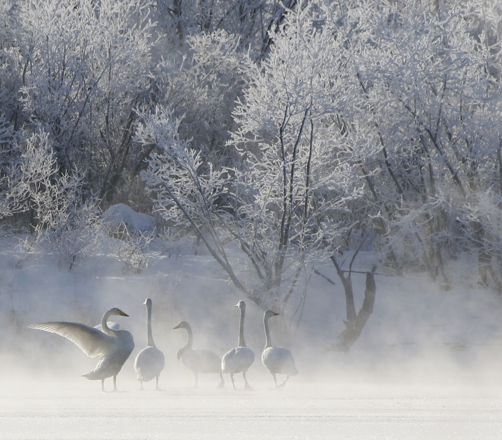 Photograph by Наталья Турчик