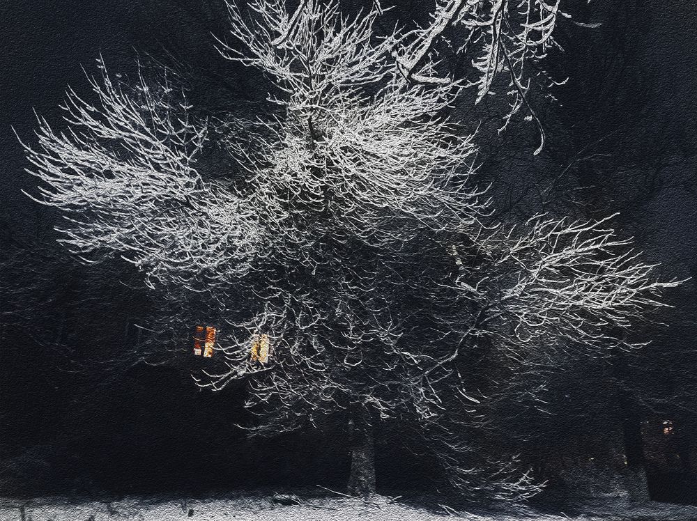 Photograph by Светлана Ульянова