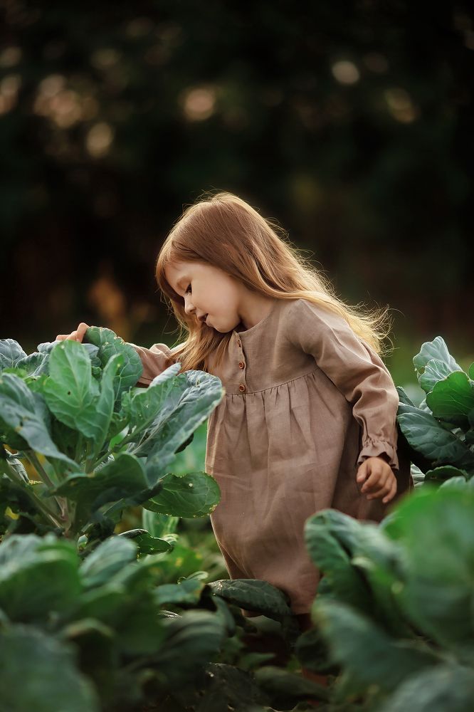 Photograph by Рустам Мадиев