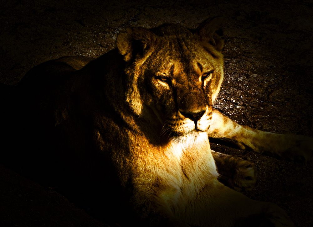 Photograph by Ашот Егиазарян