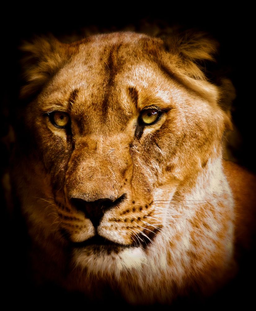 Photograph by Ашот Егиазарян