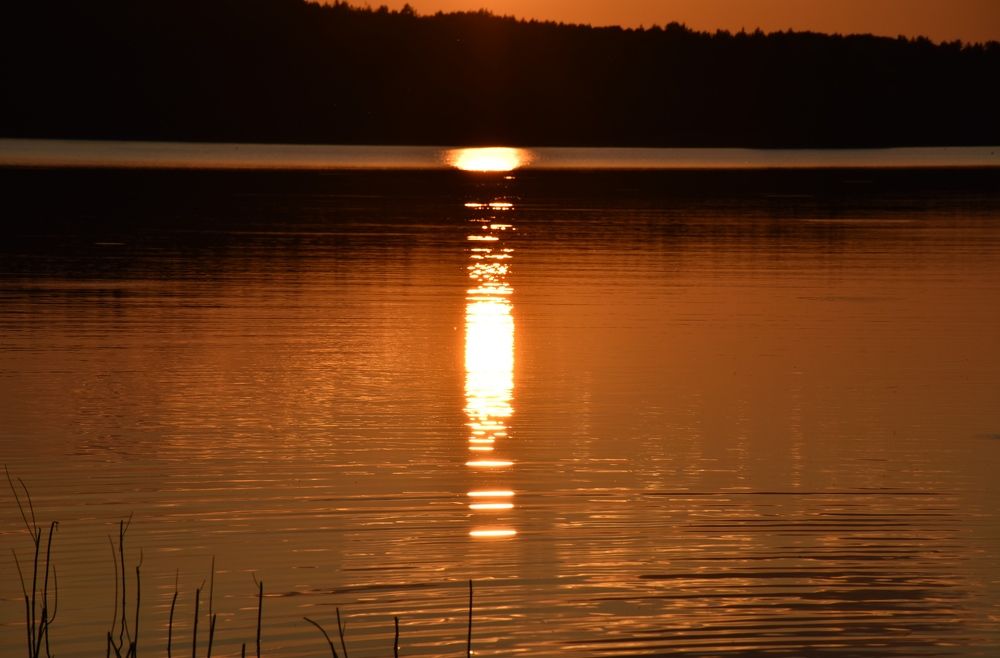Photograph by Алина Голубева