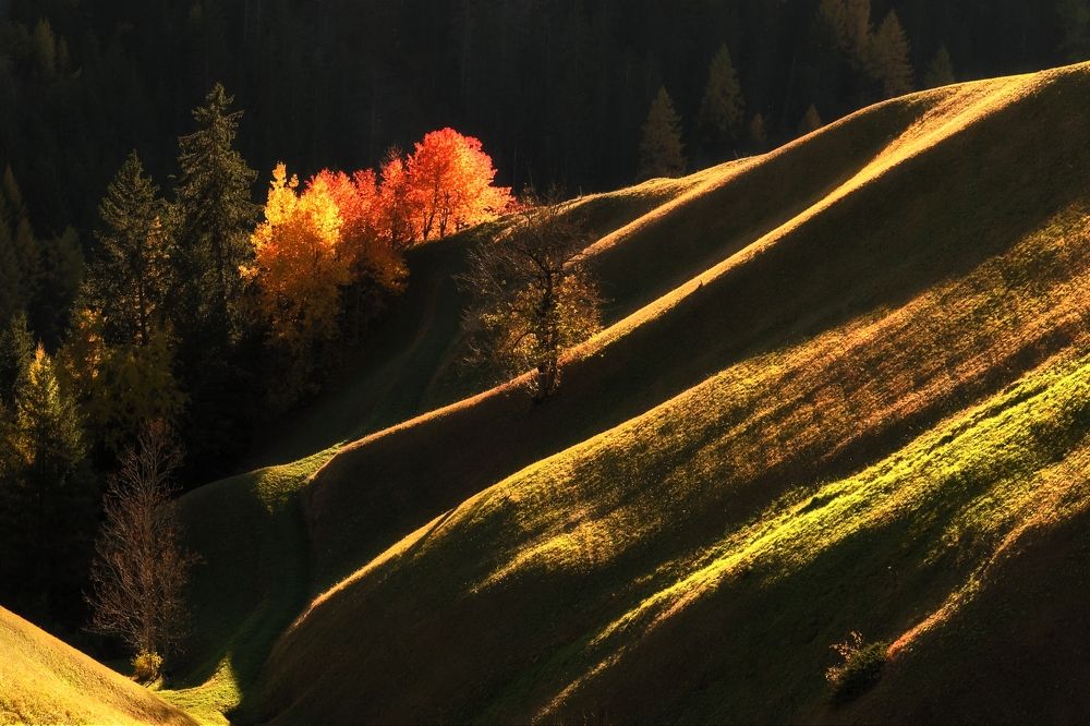 Photograph by Andrea Šrotová