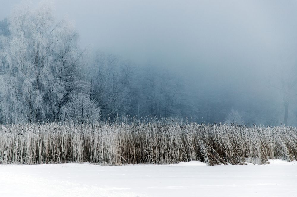 Photograph by Rolandas Valančauskas