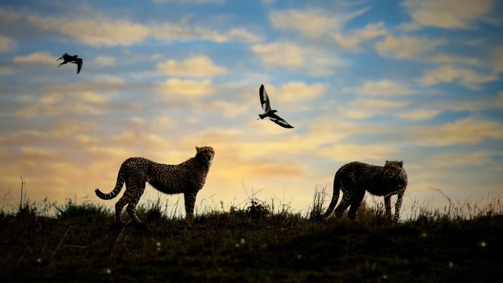 Фотография автора Dr.Hitesh Patel