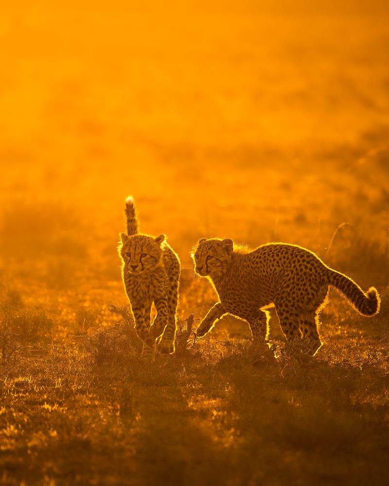 Photograph by Jayakumar MN