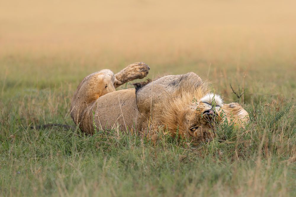 Photograph by Jayakumar MN