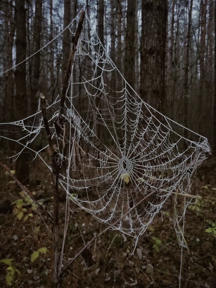 Photograph by Екатерина Чижевская