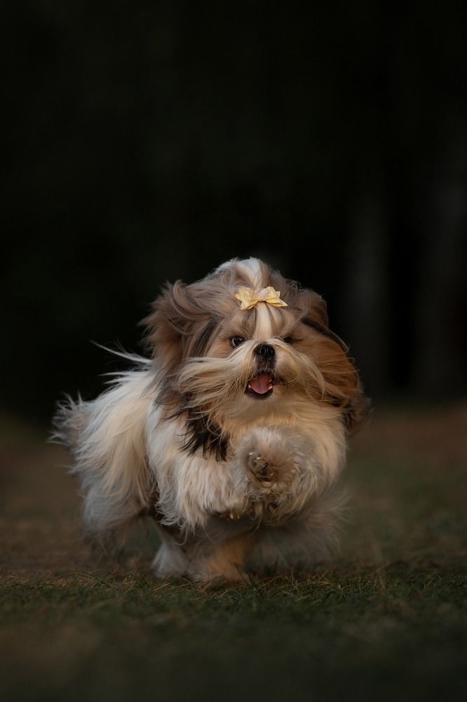 Photograph by Юлия Шатских