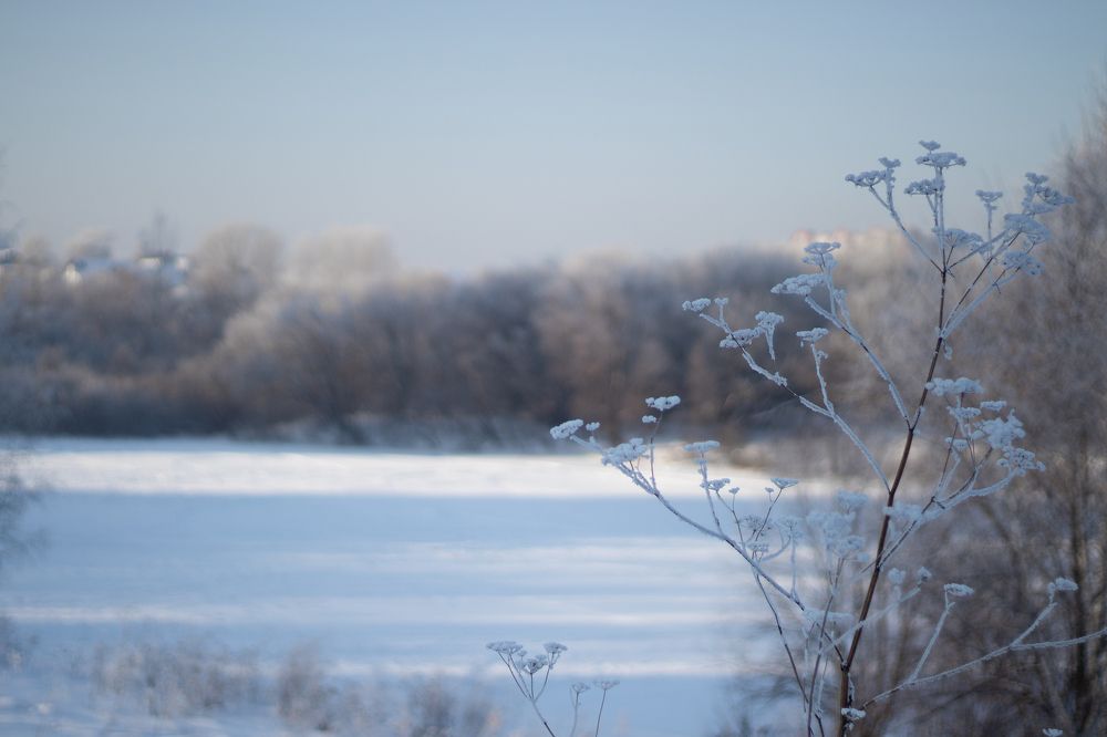 Photograph by Сергей Витвицкий