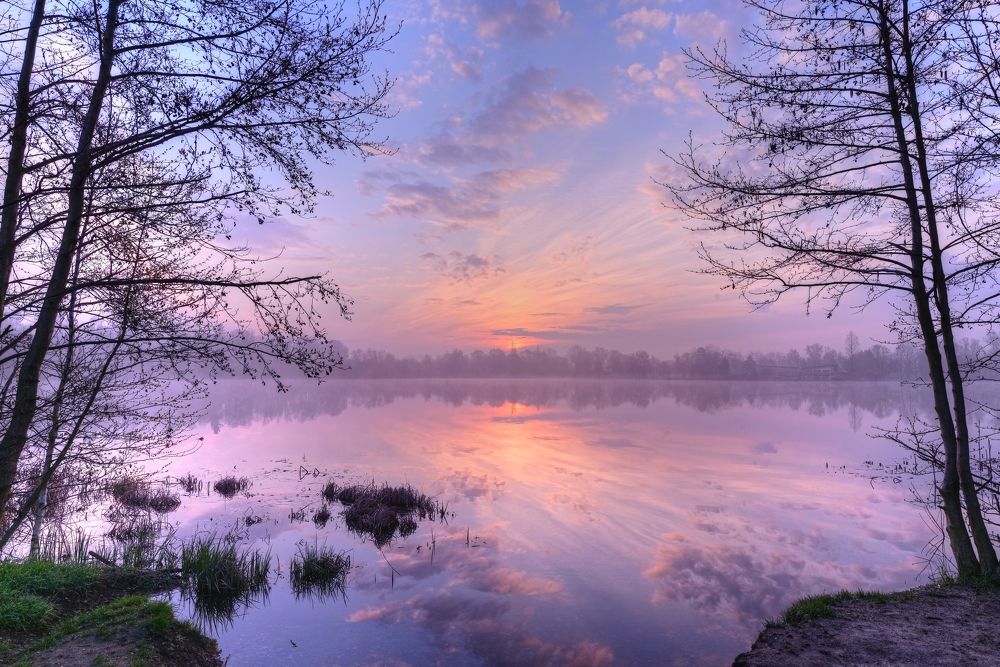 Photograph by Andrea Šrotová