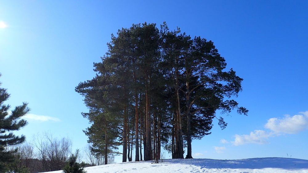 Островок нирваны