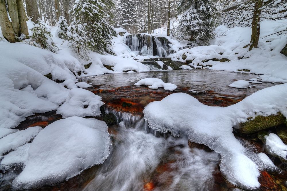 Photograph by Andrea Šrotová