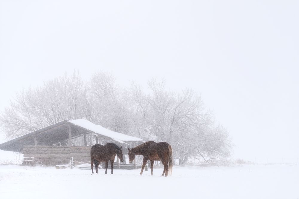 Photograph by Andrea Šrotová