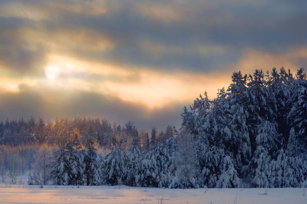 Photograph by Светлана Ульянова