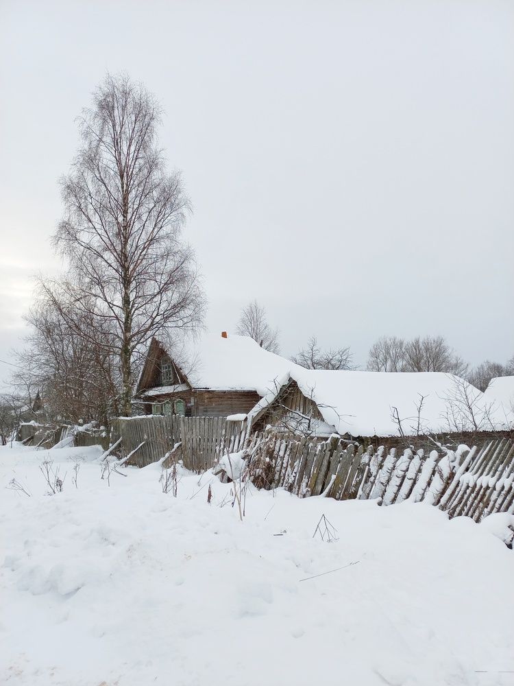 Photograph by Зоя