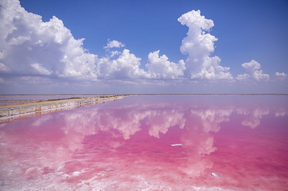 Photograph by Анастасия Оранжевая