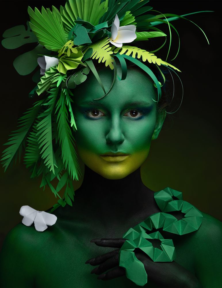 Сумеречные джунгли