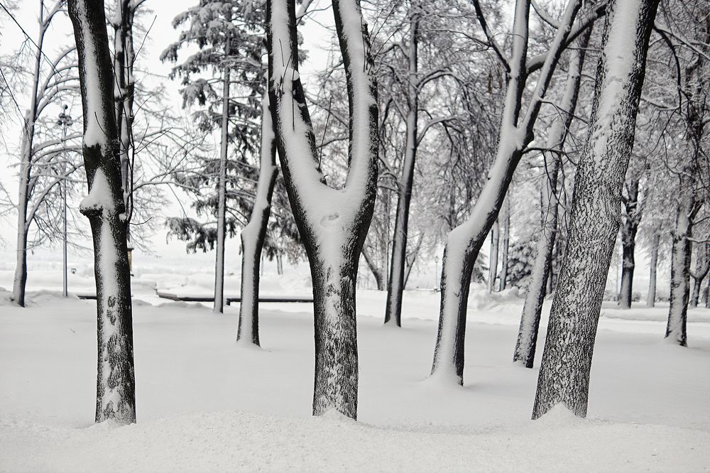 Photograph by Светлана Ульянова